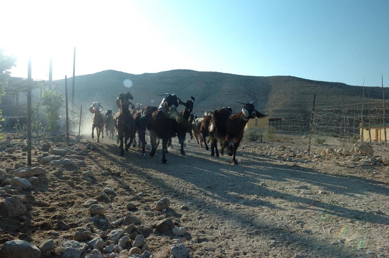 Naot Farm Βίλα Mashabbe Sade Εξωτερικό φωτογραφία
