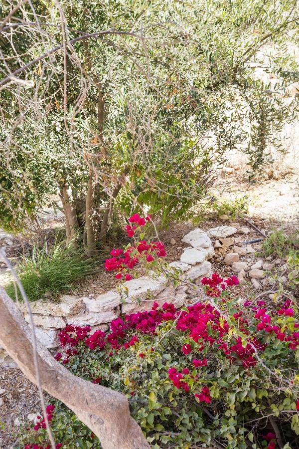 Naot Farm Βίλα Mashabbe Sade Εξωτερικό φωτογραφία