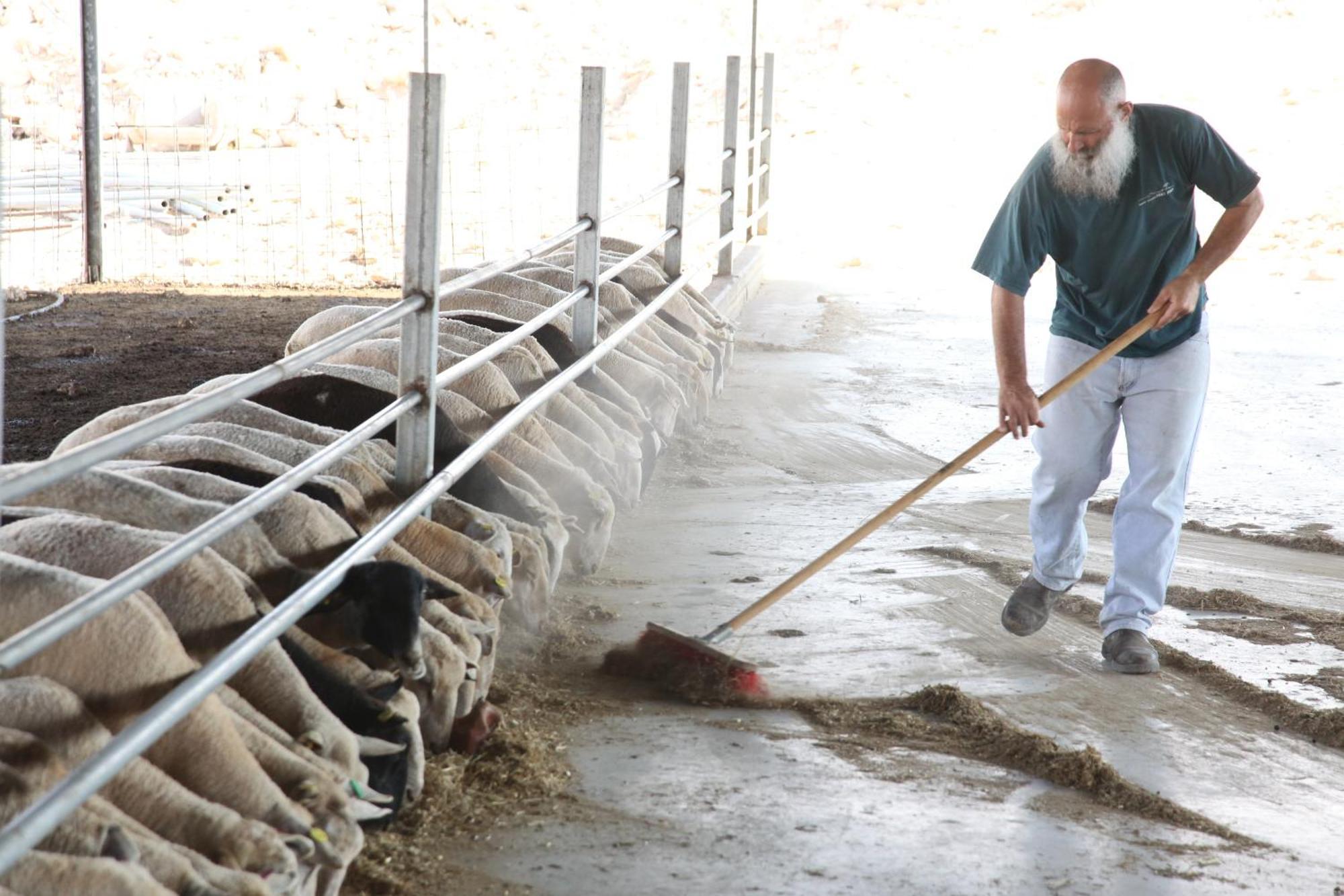 Naot Farm Βίλα Mashabbe Sade Εξωτερικό φωτογραφία